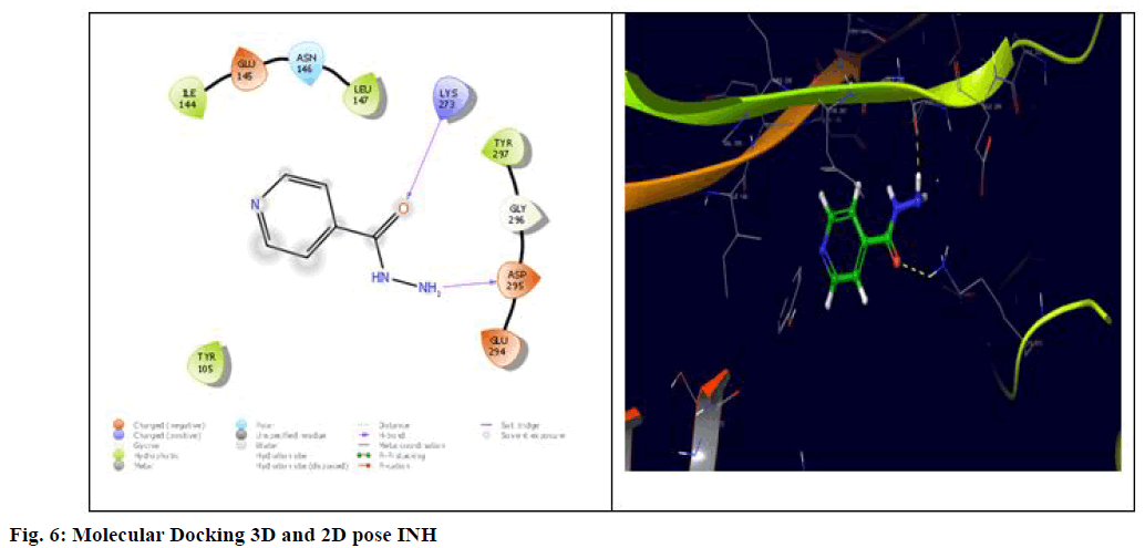 IJPS-2D