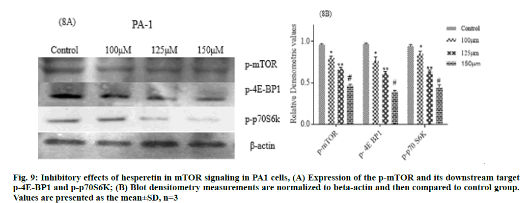 densitometry