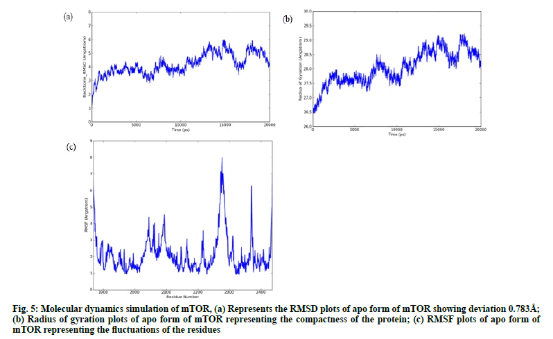 fluctuations