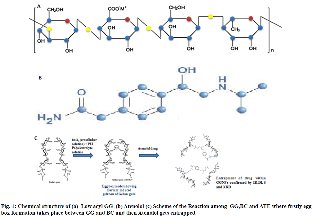 IJPS-Atenolol