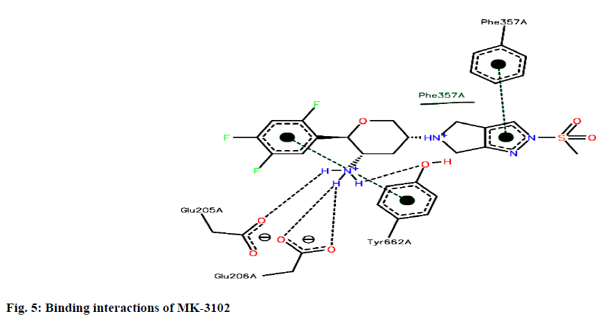 IJPS-Binding