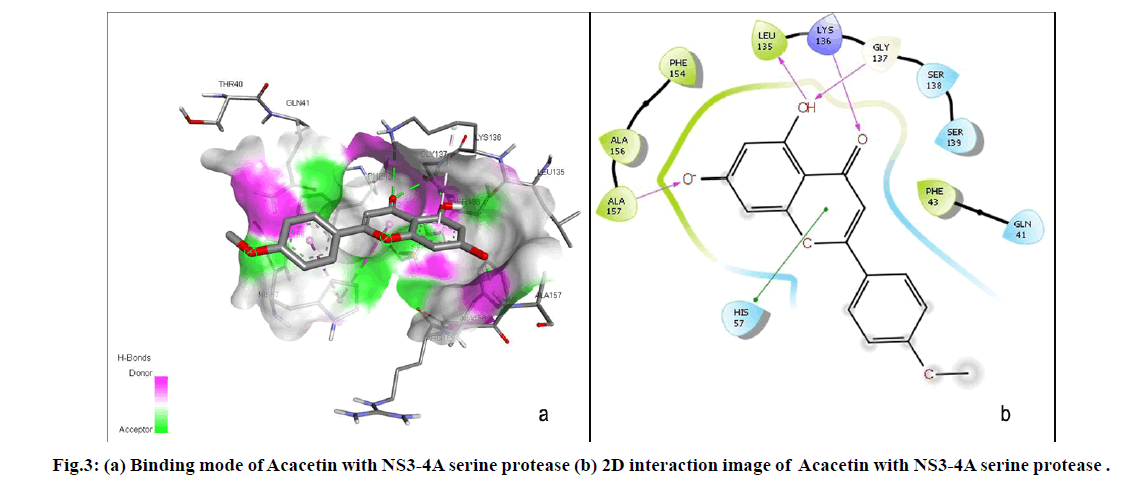 IJPS-Binding