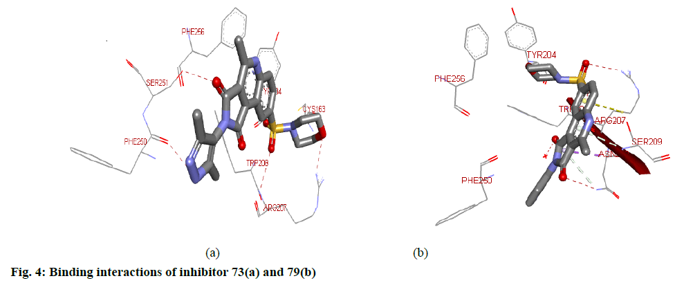 IJPS-Binding