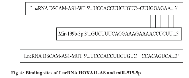 IJPS-Binding