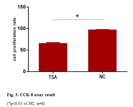 IJPS-CCK