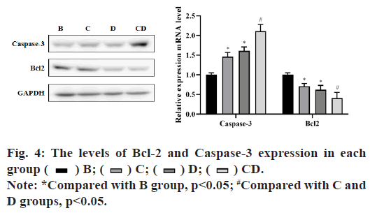 Caspase