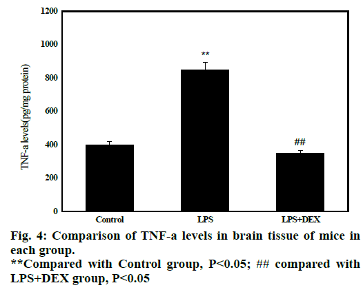 IJPS-Compared