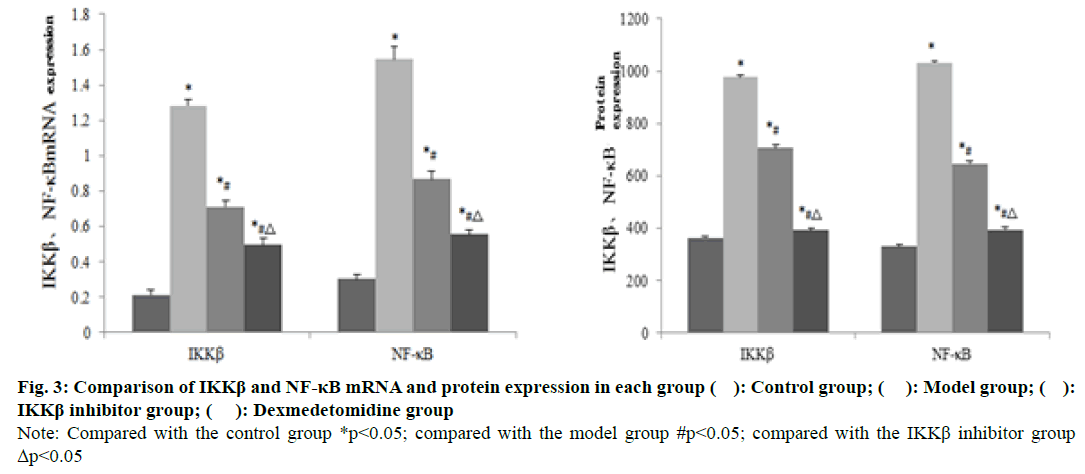 IJPS-Comparison