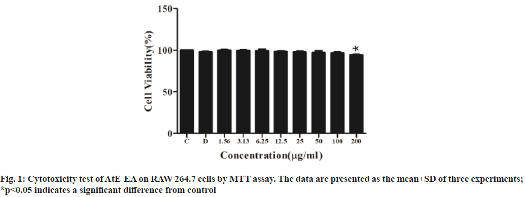 Cytotoxicity