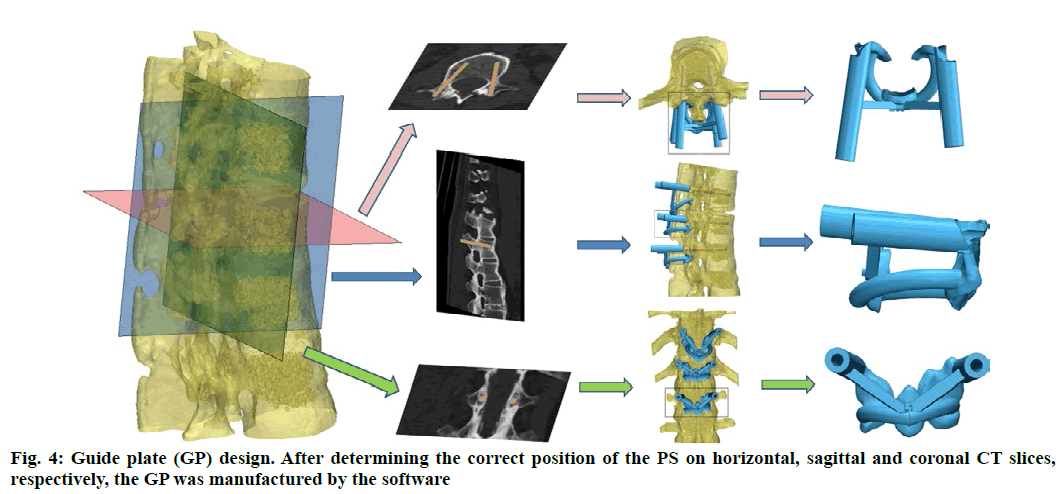 IJPS-Guide