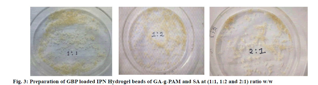 IJPS-Hydrogel