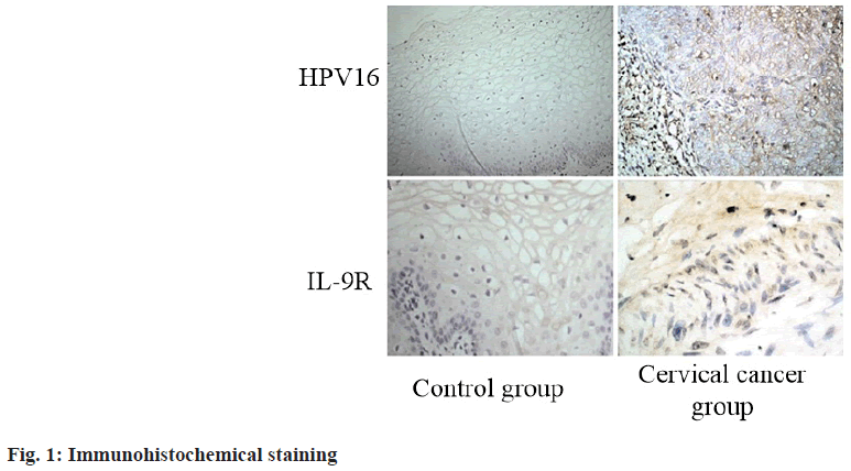 Immunohistochemical