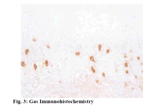 IJPS-Immunohistochemistry