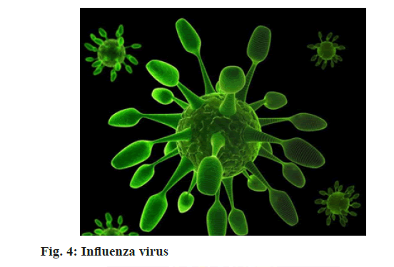 Influenza