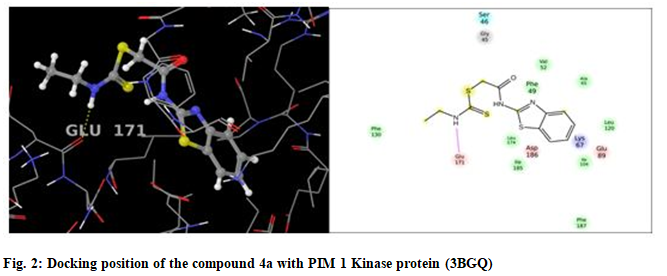 IJPS-Kinase