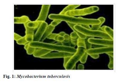 IJPS-Mycobacterium