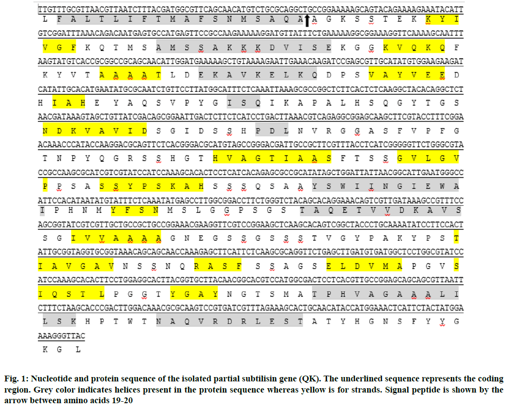 Nucleotide