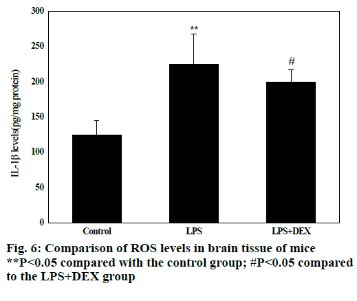 IJPS-ROS