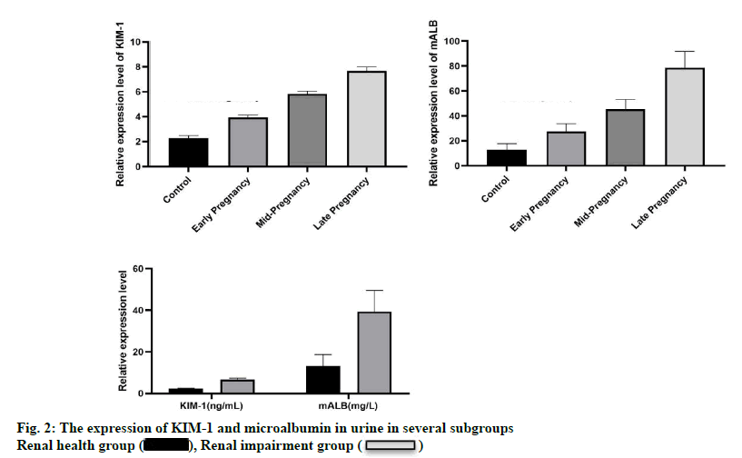 IJPS-Renal-health