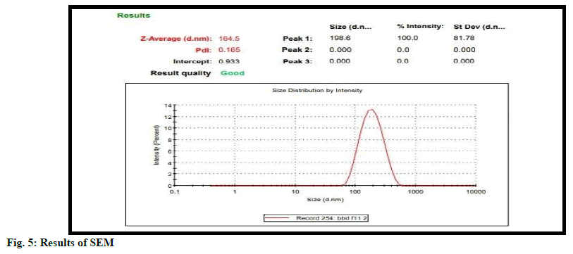 IJPS-SEM