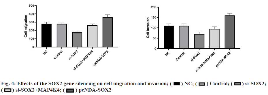 IJPS-SOX2