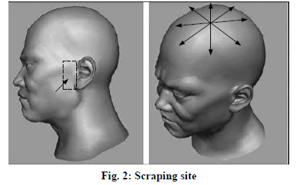 IJPS-Scraping