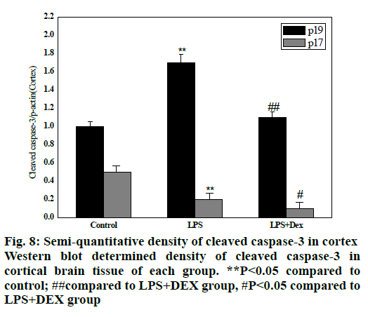 IJPS-Semi