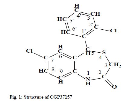 IJPS-Structure