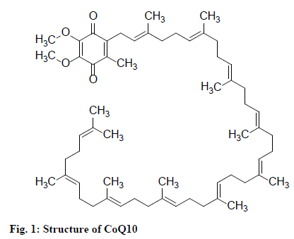 IJPS-Structure