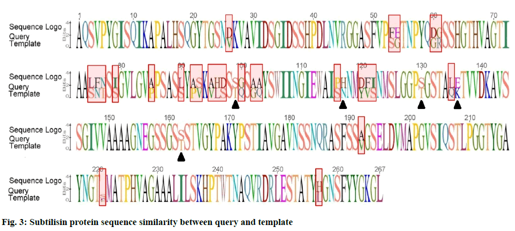 Subtilisin