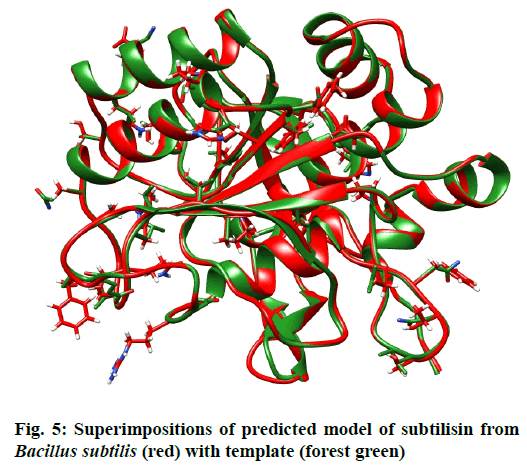 Superimpositions