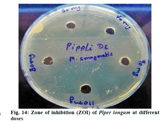 IJPS-Zone