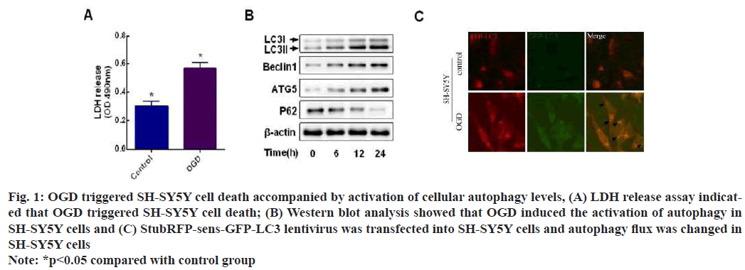 IJPS-activation