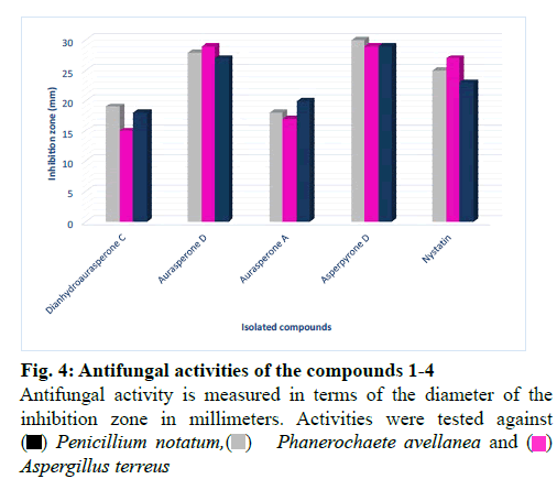 IJPS-activities