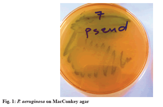 IJPS-agar