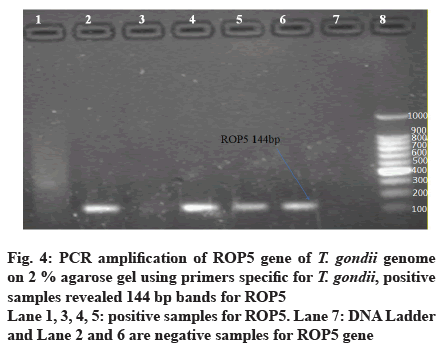 IJPS-agarose