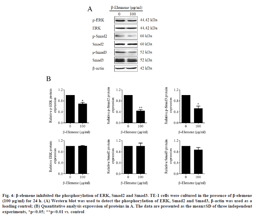 IJPS-analysis