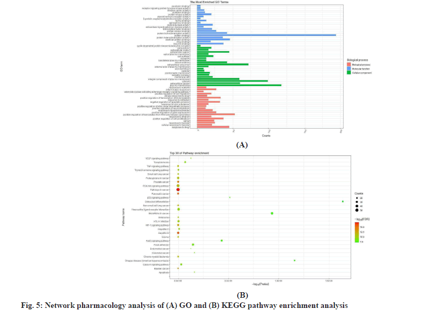 IJPS-analysis