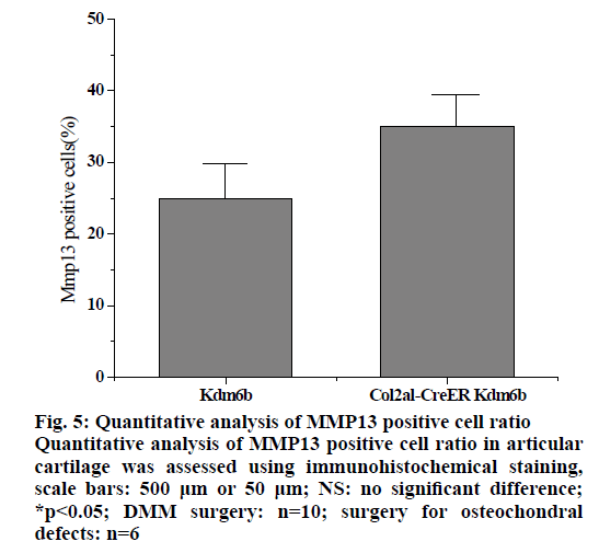 IJPS-analysis