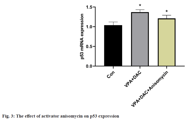 IJPS-anisomycin