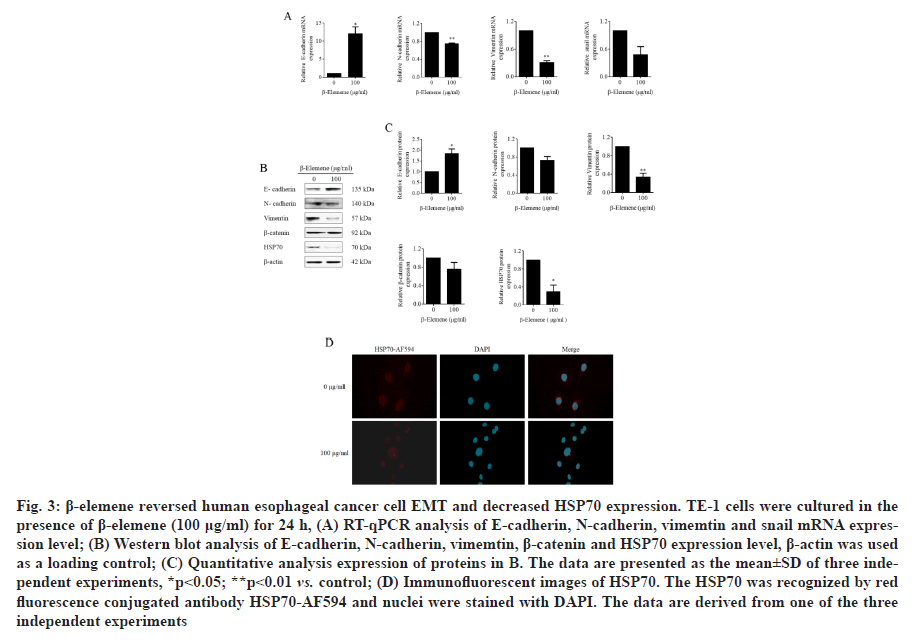 IJPS-antibody