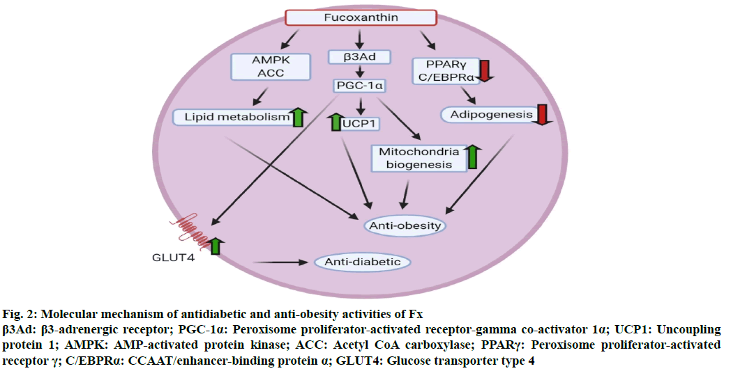 IJPS-antidiabetic