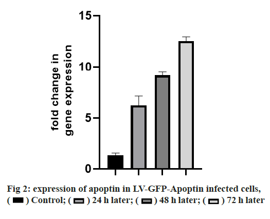 IJPS-apoptin