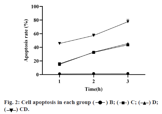 apoptosis