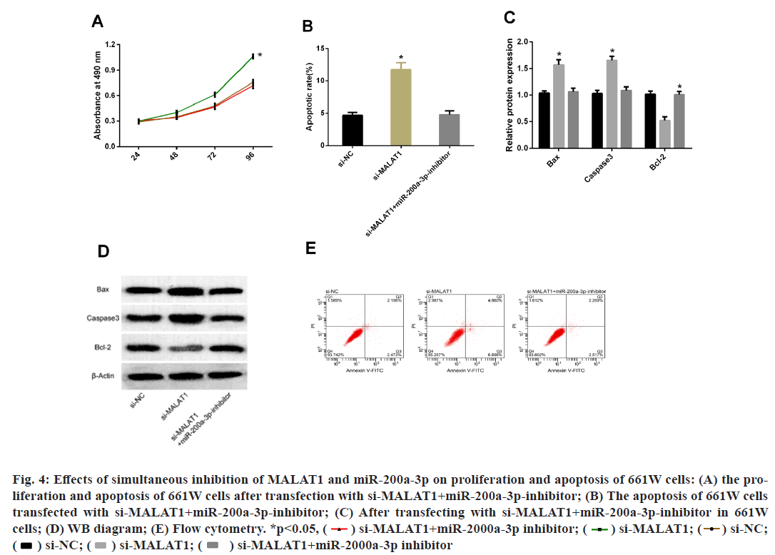 IJPS-apoptosis