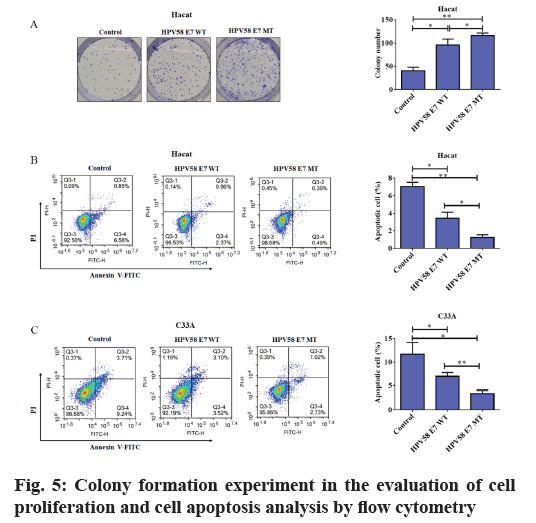 IJPS-apoptosis