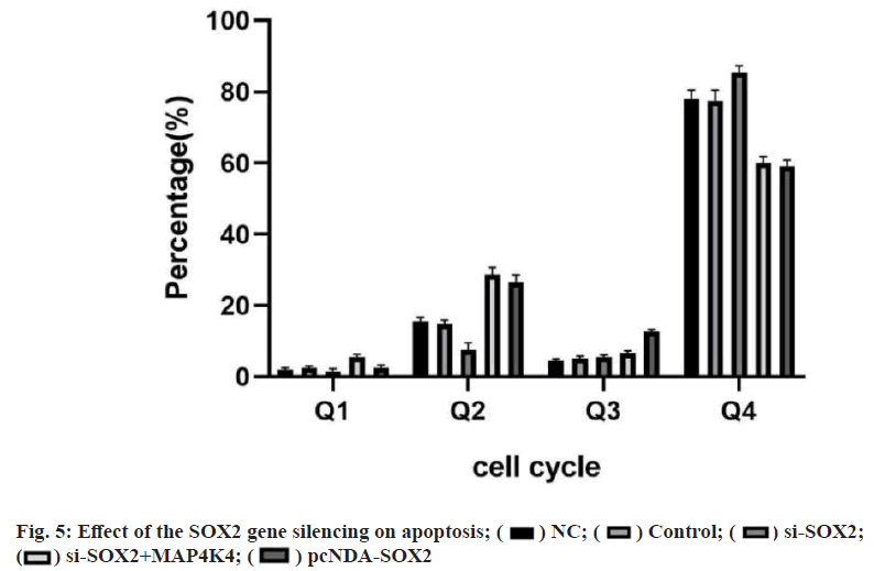 IJPS-apoptosis