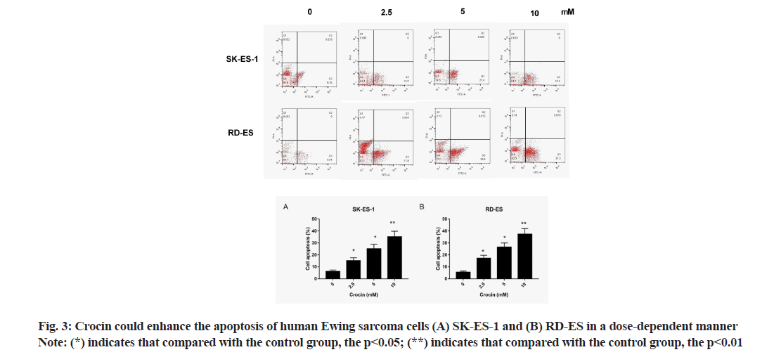 IJPS-apoptosis