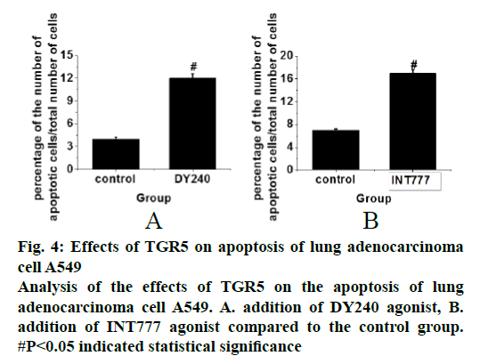 IJPS-apoptosis