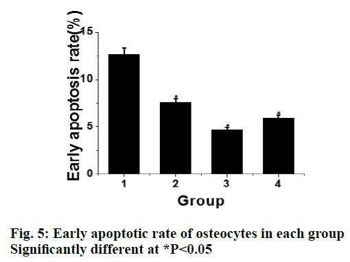 IJPS-apoptotic